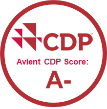 CDP Score 2023