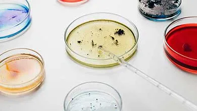 Microbe Growth